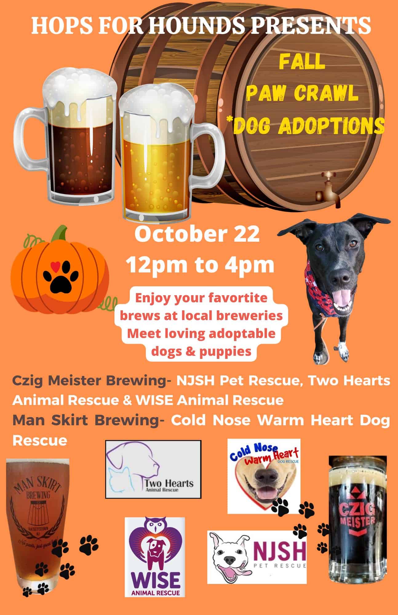 Fall Paw Crawl Dog Adoption