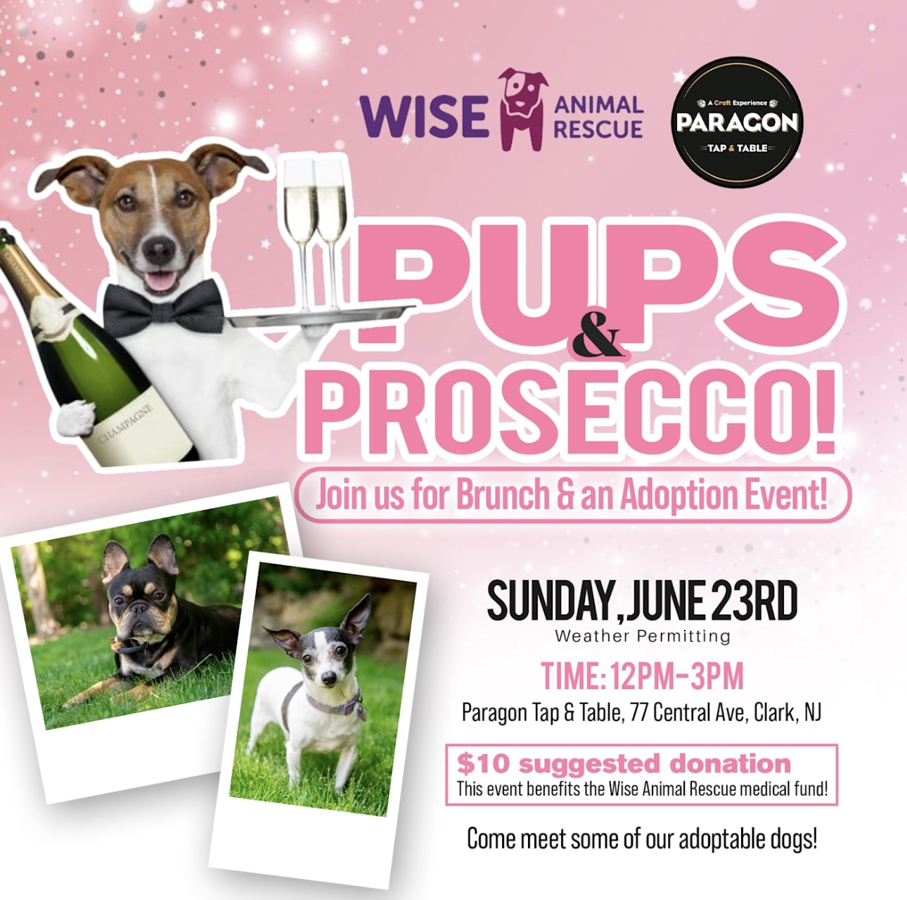 Pups And Prosecco *Cancelled Due To Heat* | Wise Animal Rescue