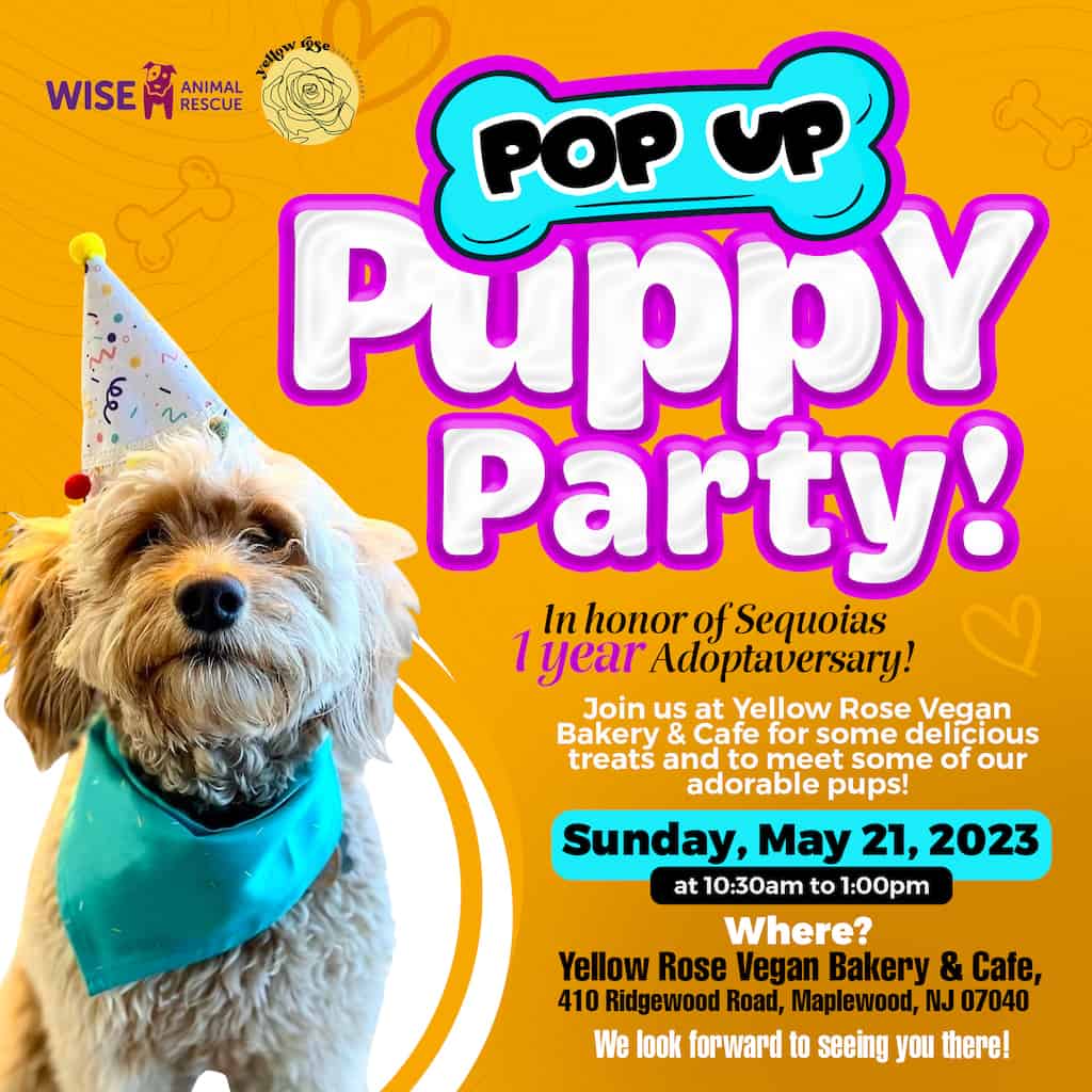 Pop Up Puppy Party